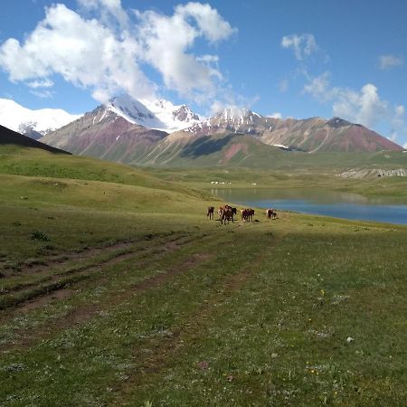 Pamir Nomad Yurt Camp Ξενοδοχείο Kara-Kavak Εξωτερικό φωτογραφία