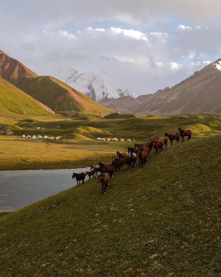 Pamir Nomad Yurt Camp Ξενοδοχείο Kara-Kavak Εξωτερικό φωτογραφία