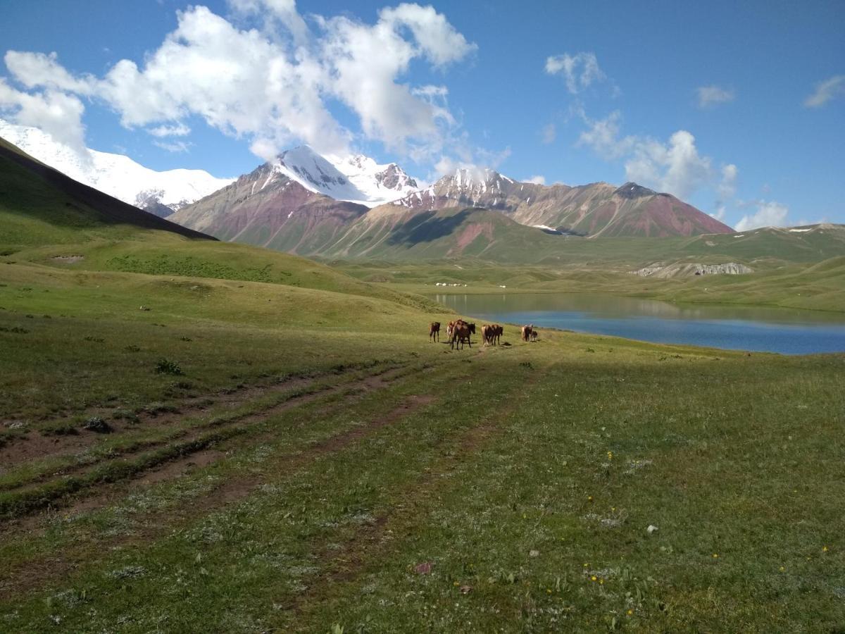 Pamir Nomad Yurt Camp Ξενοδοχείο Kara-Kavak Εξωτερικό φωτογραφία
